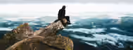 Summit of Self-Discovery: An Emerging Leader's Ascent A solitary figure sits on a mountain peak, overlooking vast, cloud-covered valleys, symbolizing the heights reached through self-improvement.