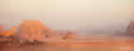 Rising Through the Desert: A Leader’s Odyssey Rising sun illuminating ancient desert rocks, symbolizing the emerging leader's journey through vast challenges toward self-improvement.