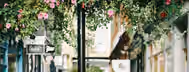 Path to Growth and Blossoming Leadership Navigating a bustling street adorned with blossoming flowers, symbolizing growth and the vibrant journey of an emerging leader.