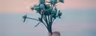 Blossoming Potential at Dawn A hand holding a bundle of small white flowers against a soft, pastel sky, symbolizing the blossoming of self-growth and leadership.
