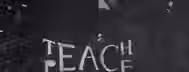 Paving the Path to Peaceful Leadership Chalked words "Teach Peace" on rough pavement, symbolizing the emerging leader’s path of spreading wisdom amid challenges.