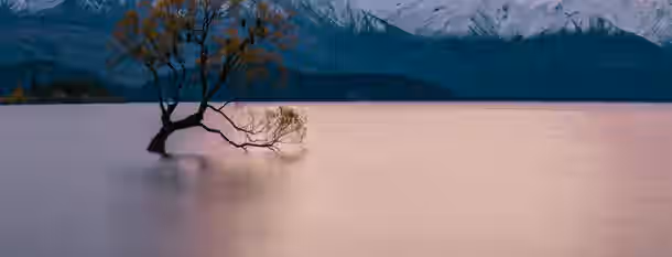 Resilient Growth: An Emerging Leader’s Journey A lone tree stands resilient in calm waters, surrounded by majestic mountains, symbolizing an emerging leader’s journey to self-improvement.