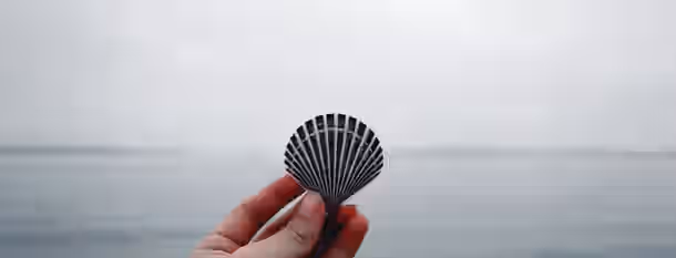 **Shell of Potential: Embracing Growth over Ocean's Horizon** A hand holds a seashell against a vast, calm ocean, signifying the unfolding journey of growth and discovery for an emerging leader.