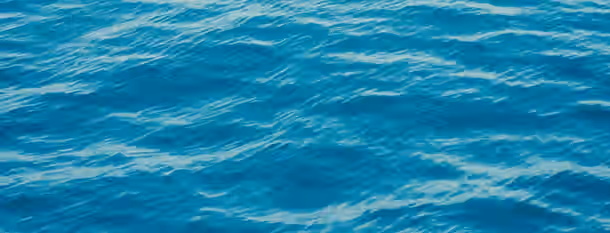 Navigating the Waves of Growth Navigating the endless blue, a leader sees challenges as waves guiding them toward self-discovery and growth.
