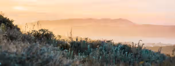Sunrise Over Mountains: Path to Leadership A serene sunrise over misty hills symbolizing the dawn of new opportunities and personal growth on the path to leadership.
