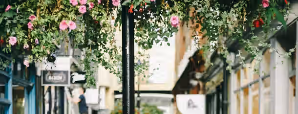 Path to Growth and Blossoming Leadership Navigating a bustling street adorned with blossoming flowers, symbolizing growth and the vibrant journey of an emerging leader.