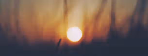 Dawn of Leadership: Embracing Growth A sunrise breaking through the mist, symbolizing new beginnings and the path to becoming an enlightened leader.