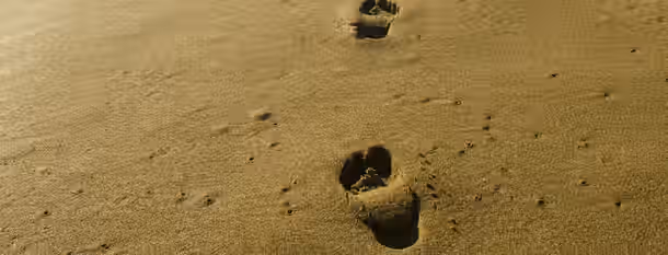 Footsteps on a Path to Personal Growth Footprints in the sand symbolize an emerging leader's strides toward self-improvement, each step deeper and more defined.