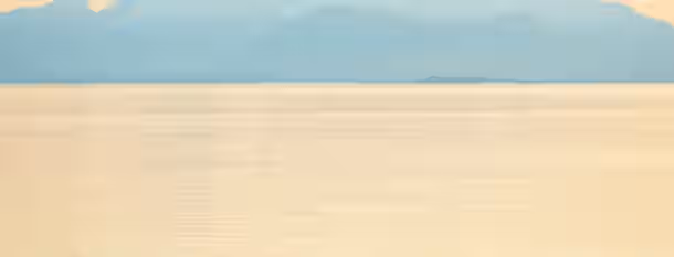 Solo Flight Toward Distant Horizons A lone bird soars over a serene sea, mountains in the distance, symbolizing the solitary yet uplifting journey of self-improvement.