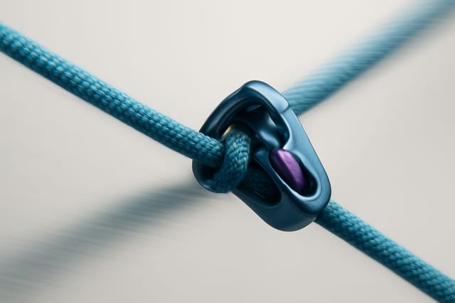 Executive Growth: How CEOs Build Strategic Range Without Losing Team Trust
