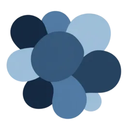 Community & Network